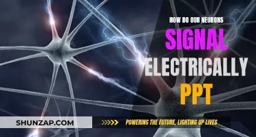 Neurons' Electrical Signaling: Unlocking the Brain's Power
