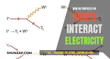 Electricity's Building Blocks: Particle Interactions and Their Power