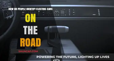 Spotting Electric Vehicles: Key Visual Cues on the Road