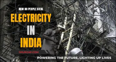 Stealing Electricity: India's Underground Power Theft Problem