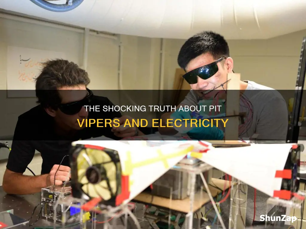 how do pit vipers react to electricity