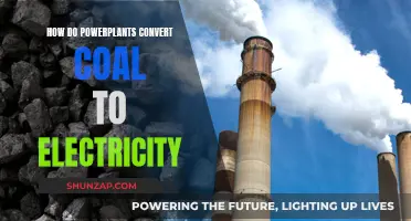 Powerplants: Converting Coal to Electricity, Explained