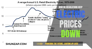 Electricity Regulations: Keeping Prices Down for Consumers