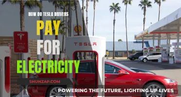 Charging Up: Tesla Drivers' Payment Methods for Electricity