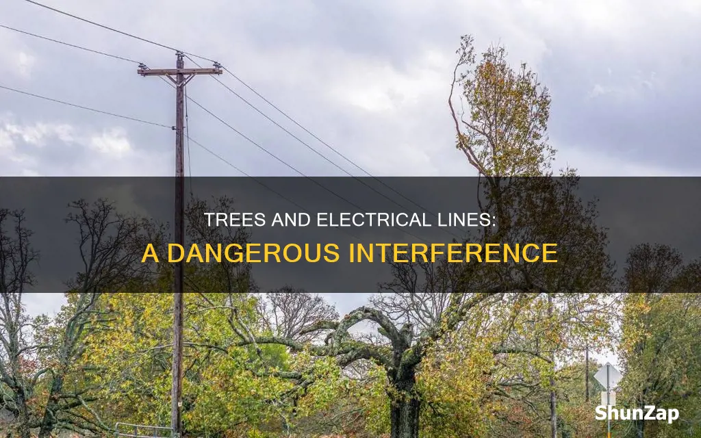 how do trees interfere with electrical lines