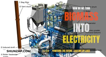 Converting Biomass to Electricity: The Eco-Friendly Power Source
