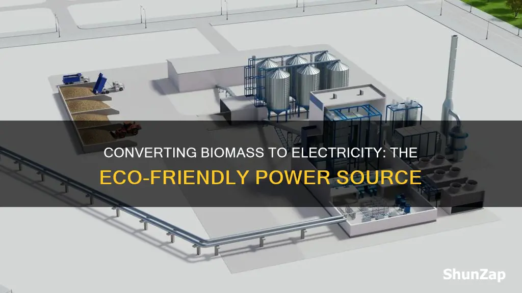 how do we turn biomass into electricity