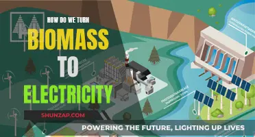 Biomass-to-Electricity: Converting Natural Resources to Power