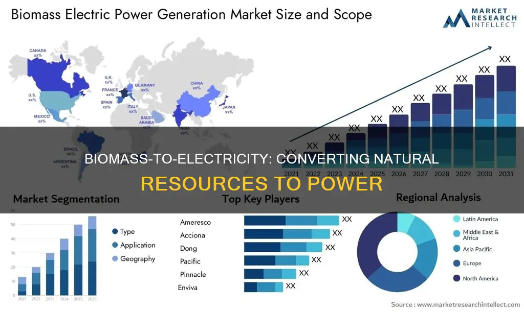 how do we turn biomass to electricity