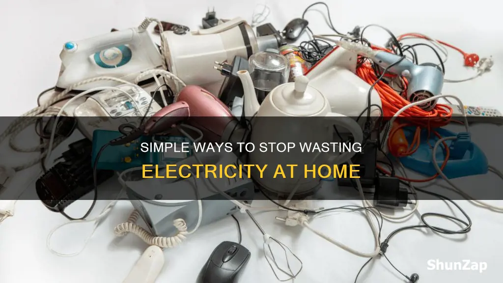 how do we waste electricity at home