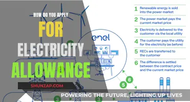 Electricity Allowance: Application Process Simplified