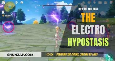 Conquering Electro Hypostasis: Strategies for Victory in Teyvat