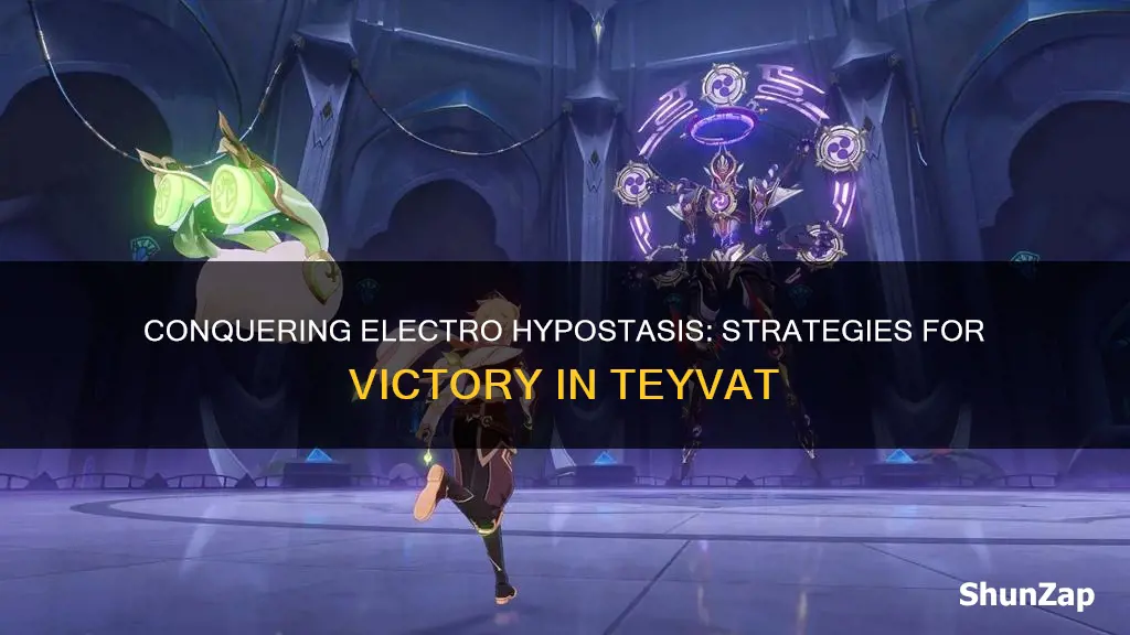 how do you beat the electro hypostasis