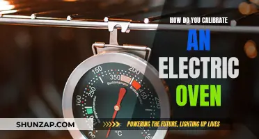 Calibrating Electric Ovens: Achieving Accurate Temperatures at Home