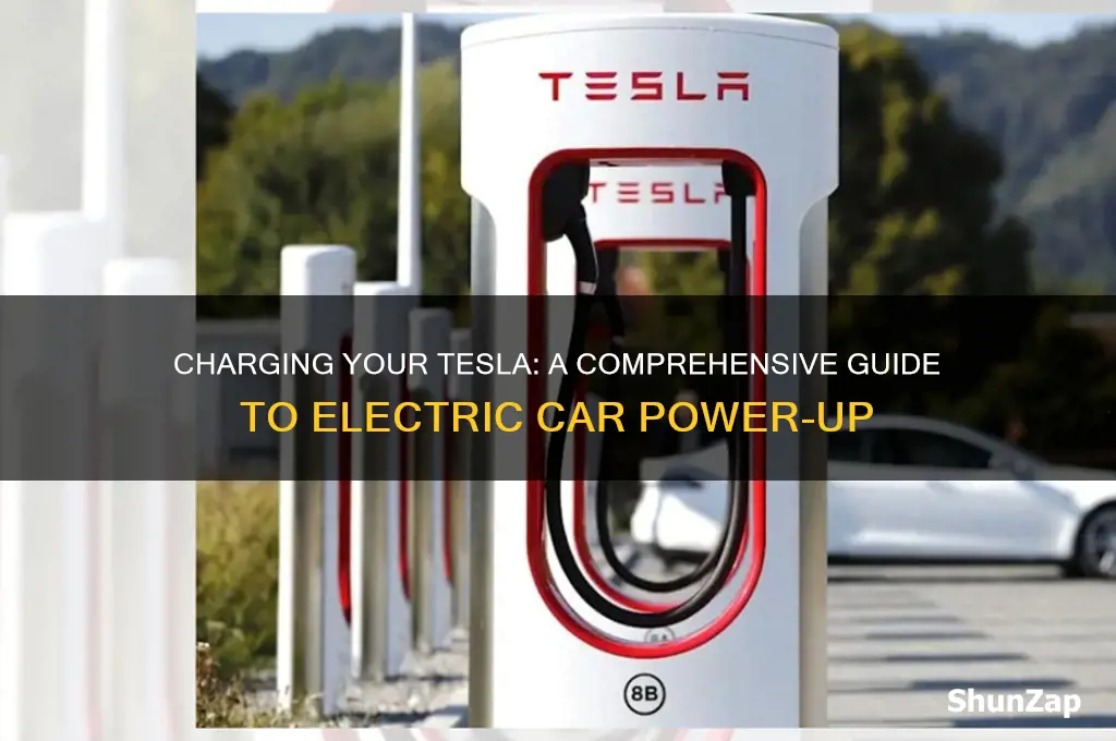 how do you charge a tesla electric car