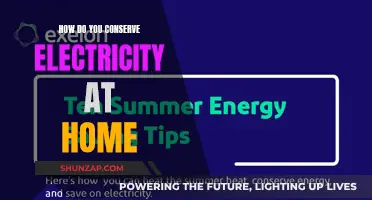Conserving Electricity at Home: Simple Tips for Big Savings