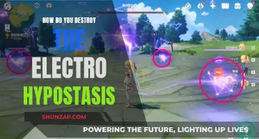 Destroying Electro Hypostasis: Strategies and Techniques for Victory