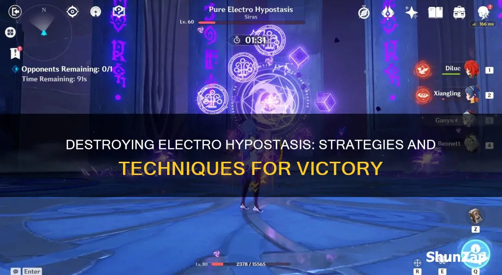 how do you destroy the electro hypostasis