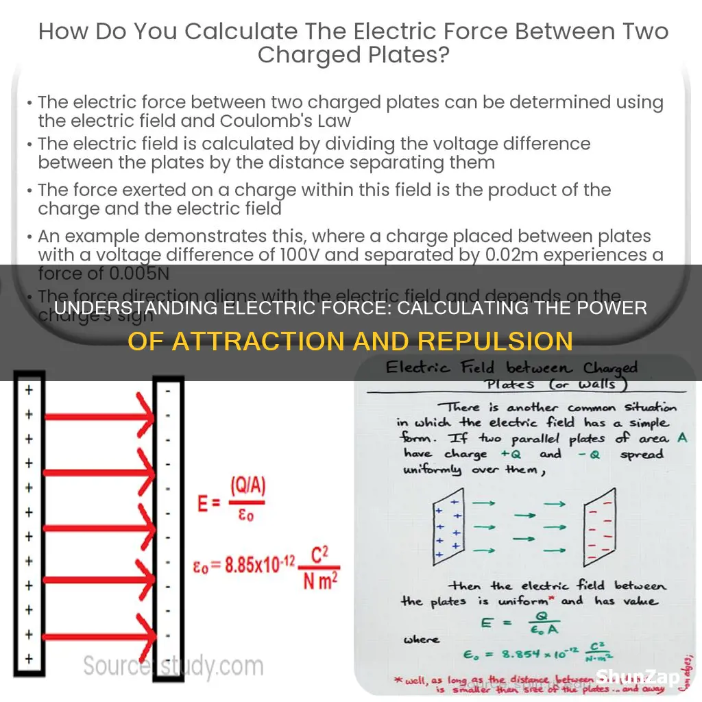 how do you determine the electric force