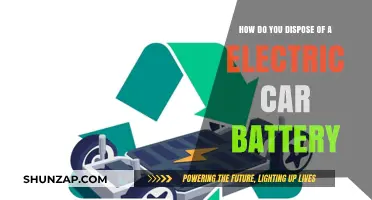 Eco-Friendly Disposal: Safely Recycling Your Electric Car Battery