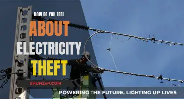 Electricity Theft: A Crime That Shocks the System