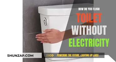 Flushing Toilets Without Electricity: A Quick Guide