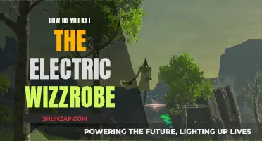 Electric Wizzrobe: Strategies for Defeating This Foe