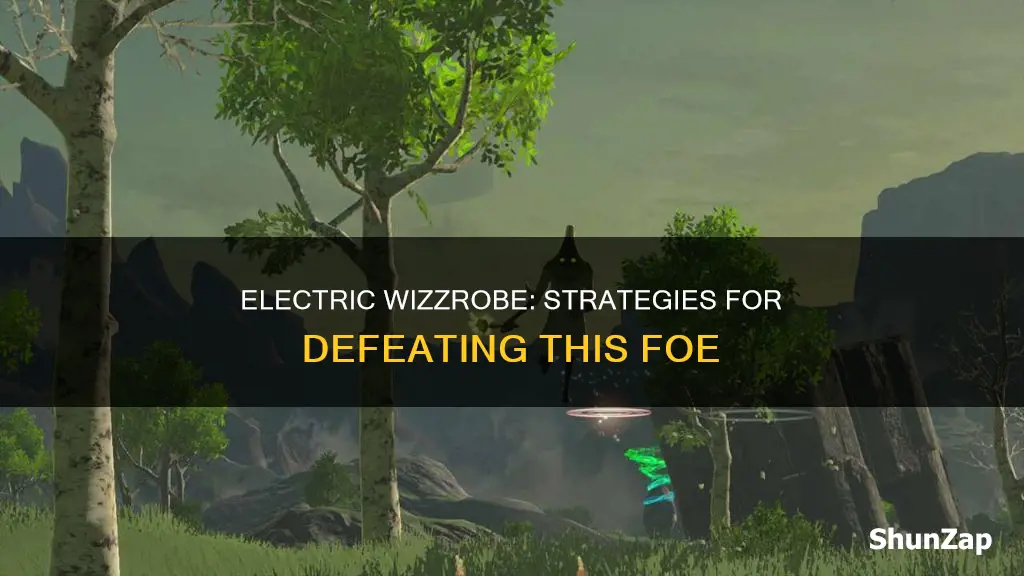 how do you kill the electric wizzrobe
