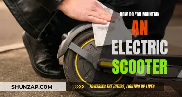 Electric Scooter Maintenance: Simple Steps for Smooth Riding