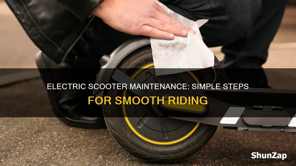 how do you maintain an electric scooter