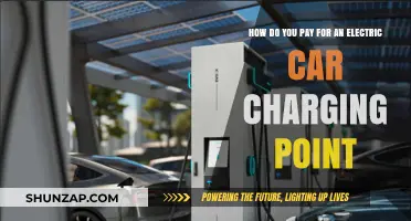 Electric Car Charging Point Costs: Payment Options and Financial Assistance