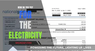 Electricity Costs: Who Pays and How Much?