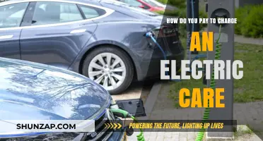 Charging Your Electric Car: Payment Methods and Cost-Saving Tips