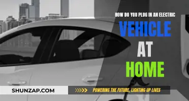 Plugging in Electric Vehicles: Home Charging Simplified