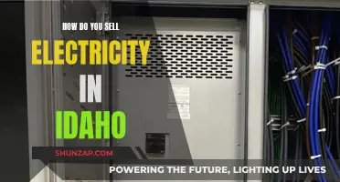 Selling Electricity in Idaho: A Guide to the Process