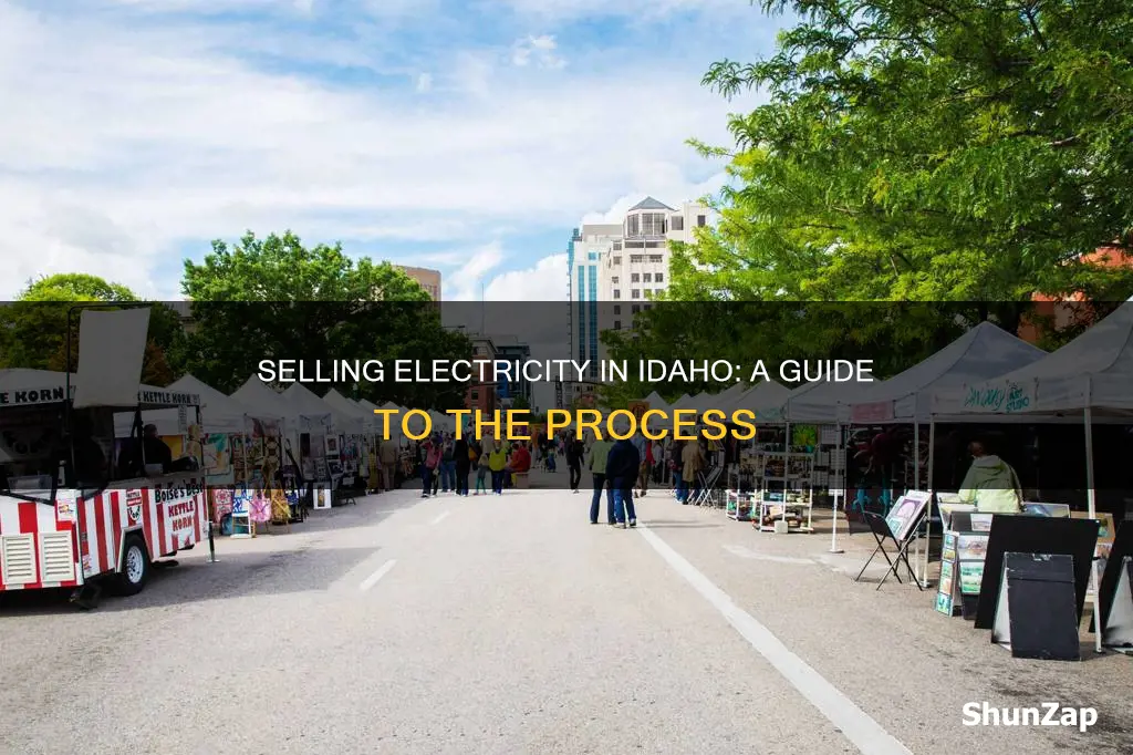 how do you sell electricity in idaho