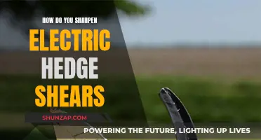The Best Way to Sharpen Electric Hedge Shears
