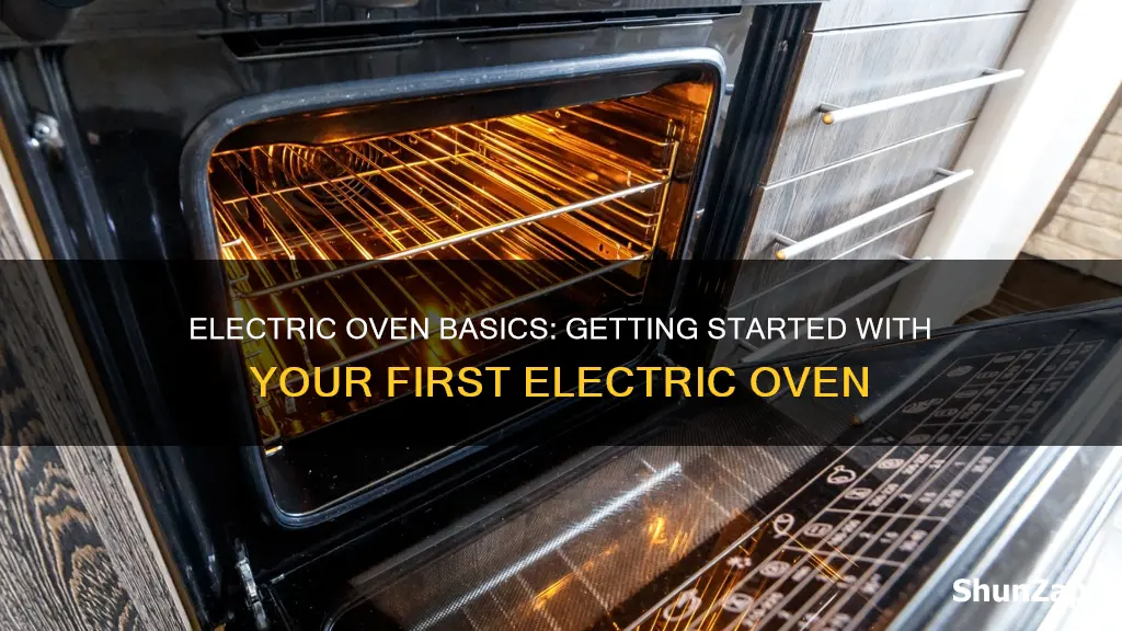 how do you start an electric oven