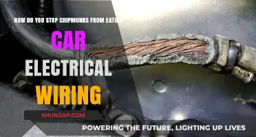 Prevent Chipmunk Damage: Protect Car Wiring from Rodent Chewing