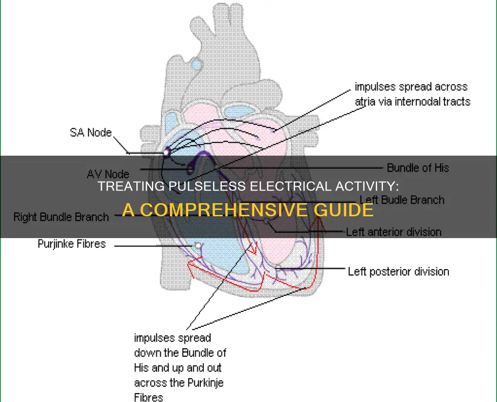 how do you treat pulseless electrical activity