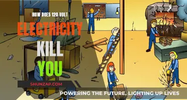 Understanding the Deadly Power of 120-Volt Electricity