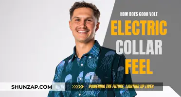 Electric Collar Experience: 6000 Volts Felt Like..