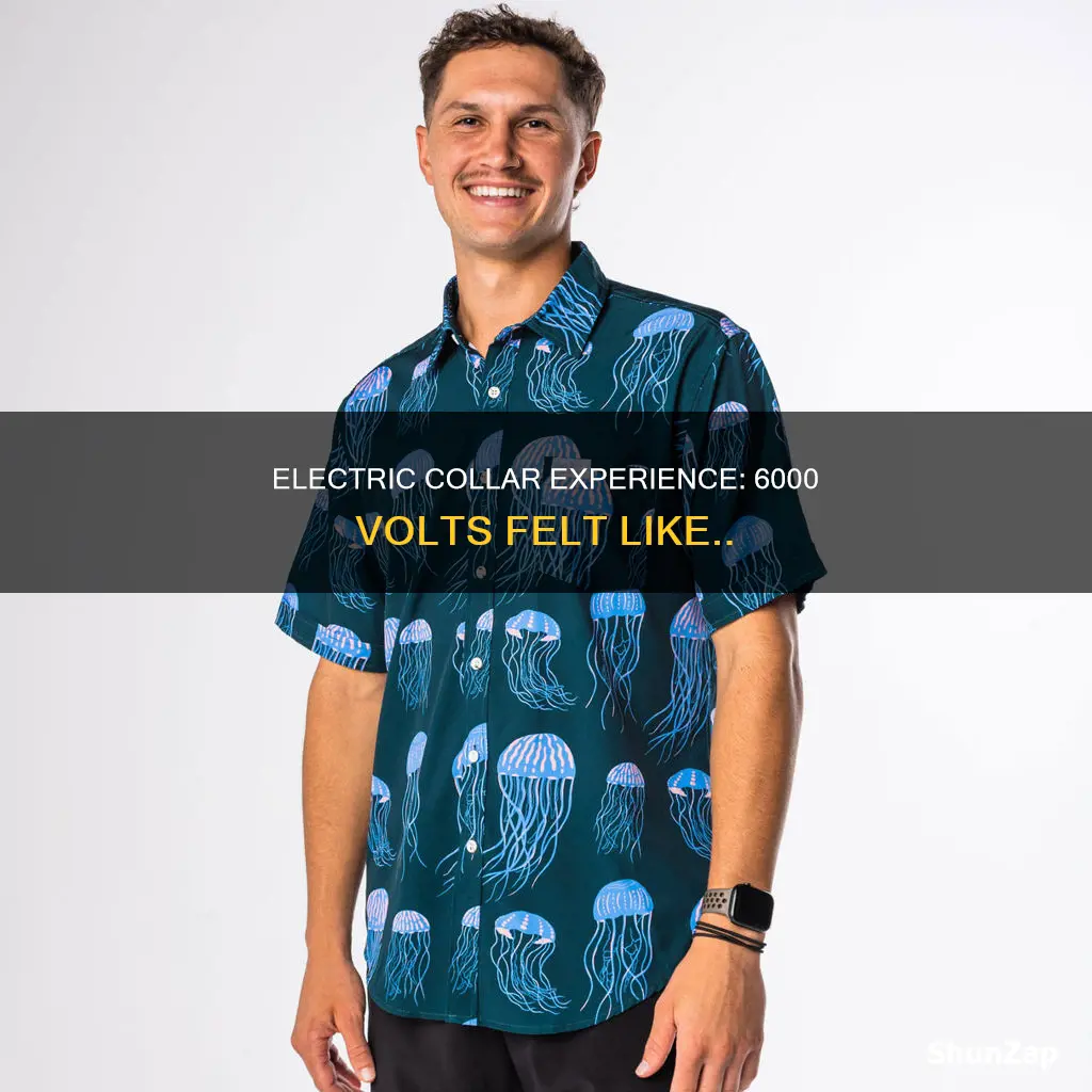 how does 6000 volt electric collar feel