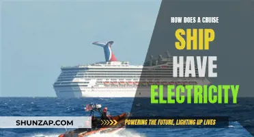 Cruise Ships: Powering Vacations with Electricity