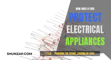 Fuse Functionality: Protecting Appliances from Electrical Damage