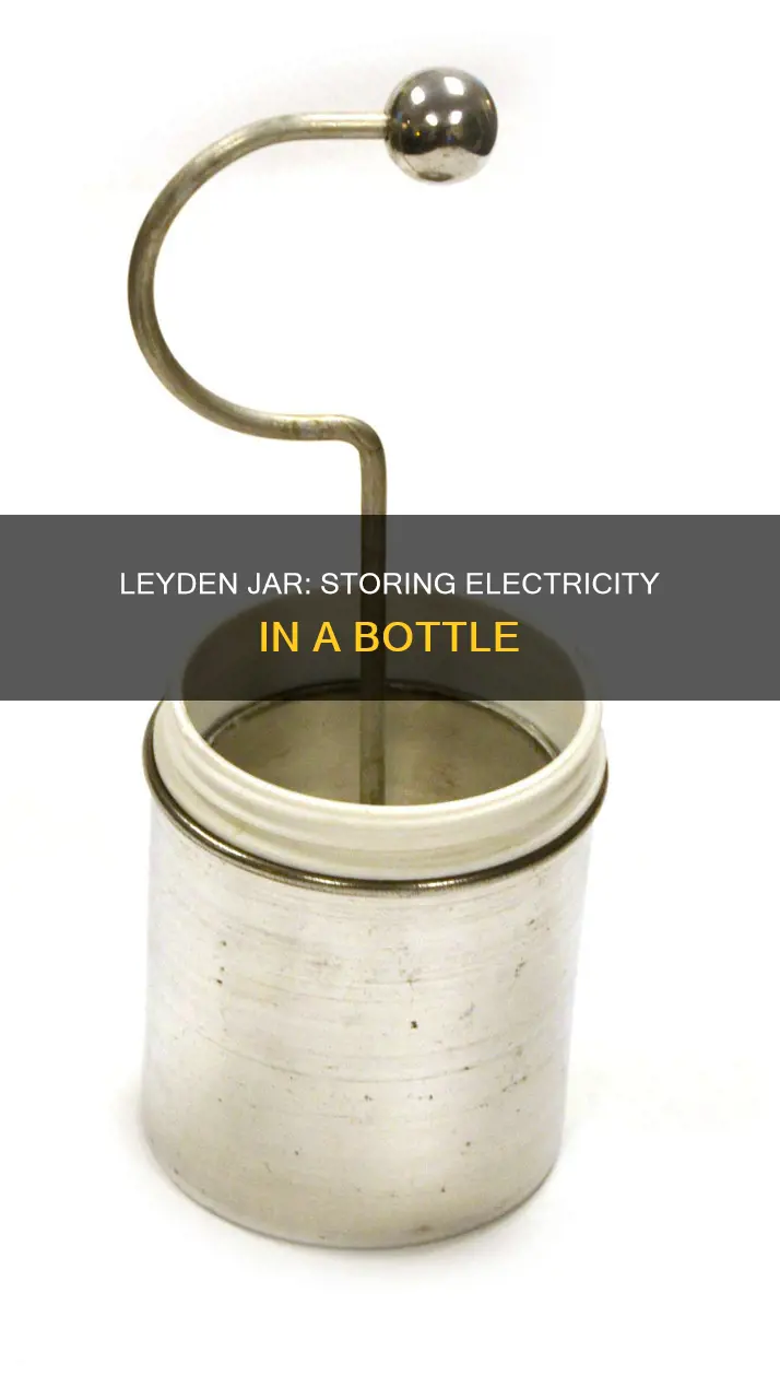 how does a leyden jar store electricity