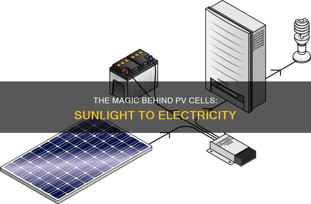 how does a pv cell create electricity