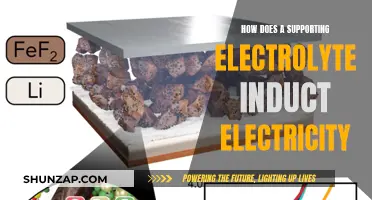 The Power of Supporting Electrolytes: Inducing Electric Current