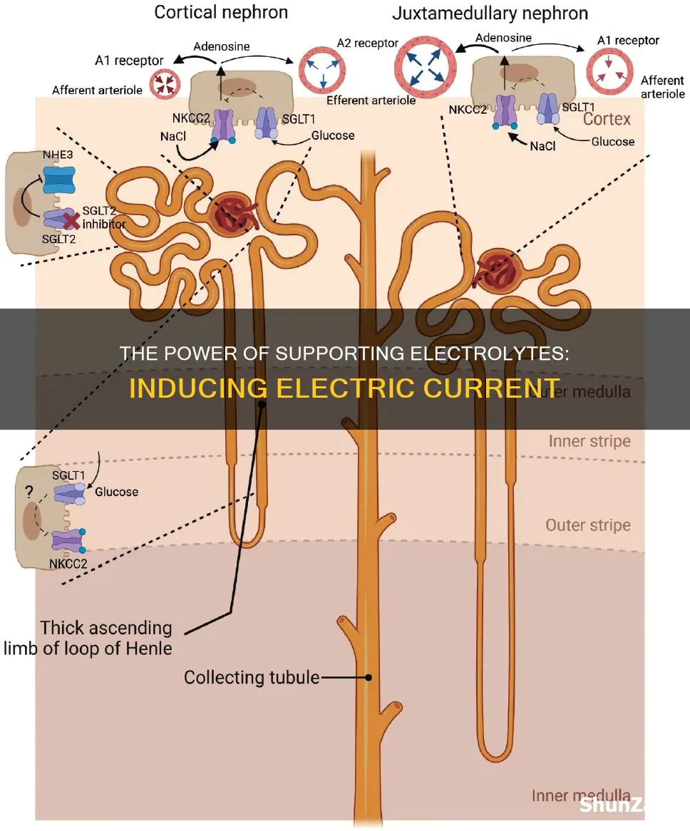 how does a supporting electrolyte induct electricity