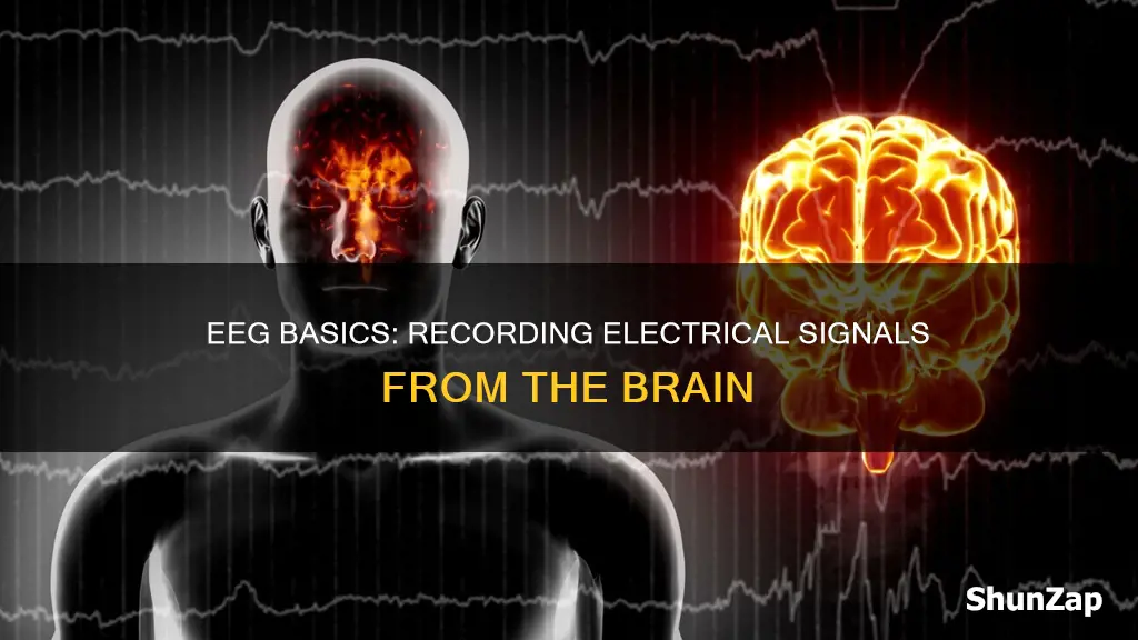 how does an eeg record electrical signals